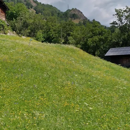 Arve Lodge
