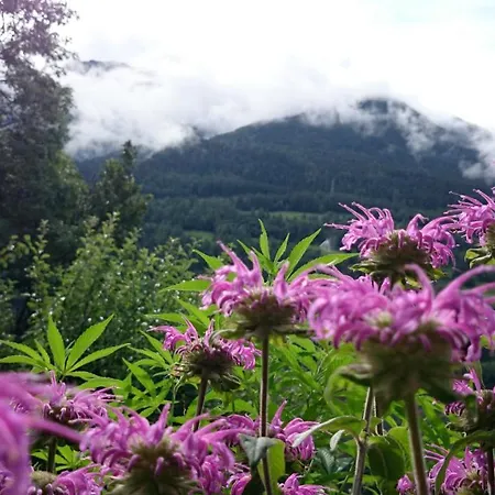 Domek letniskowy Arve *