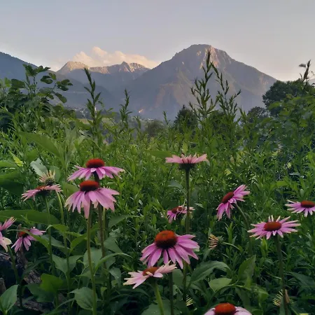 Domek letniskowy Arve *