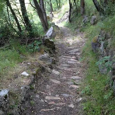 Arve Lodge