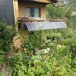 Arve Orman Evi Bitsch