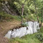 Arve